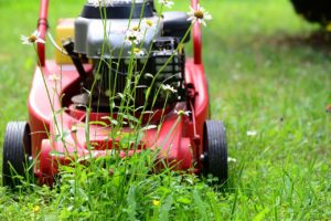 Entretien espace vert
